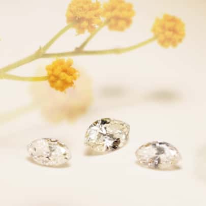 Unsere Diamanten