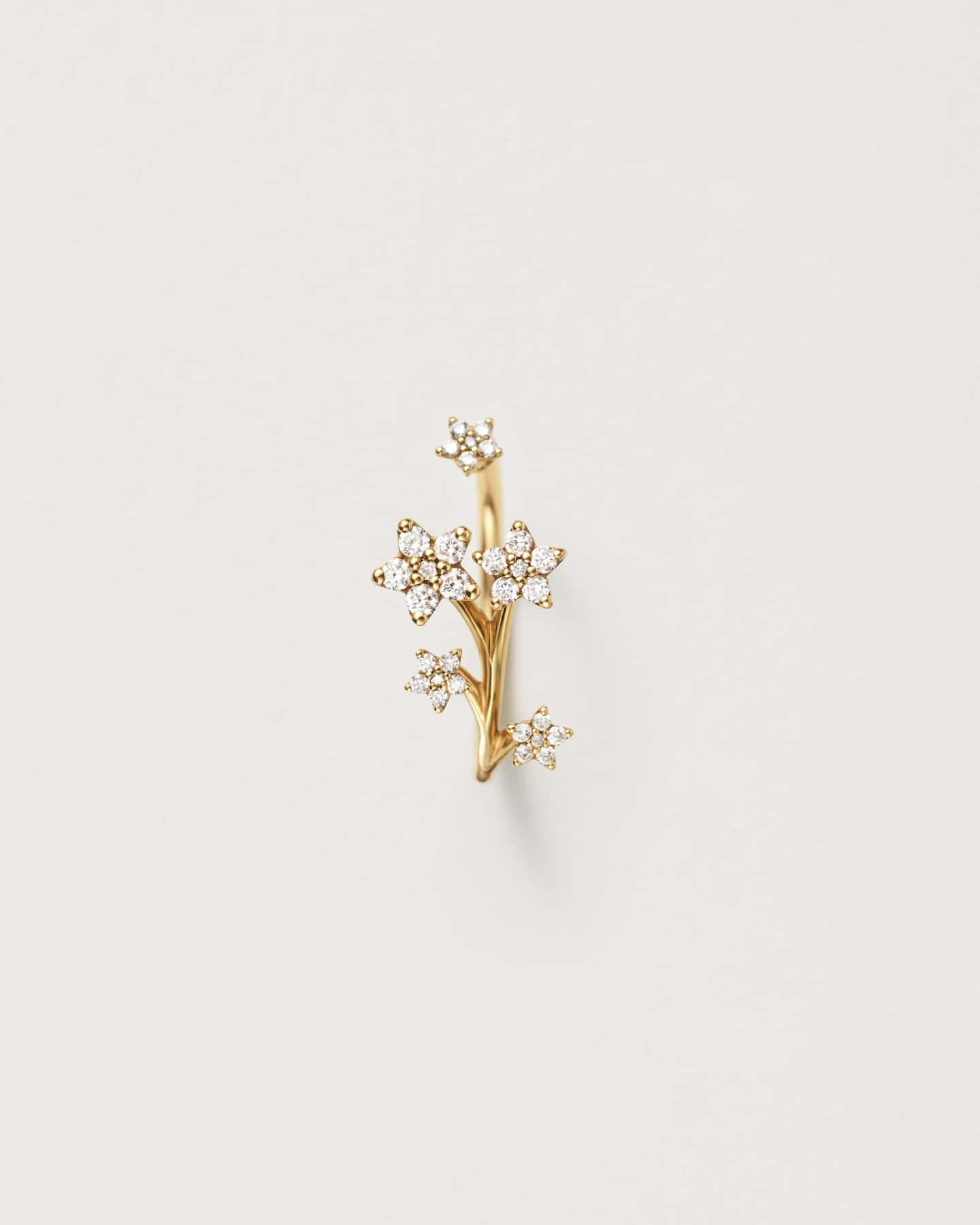 A Touch of Celestial Charm