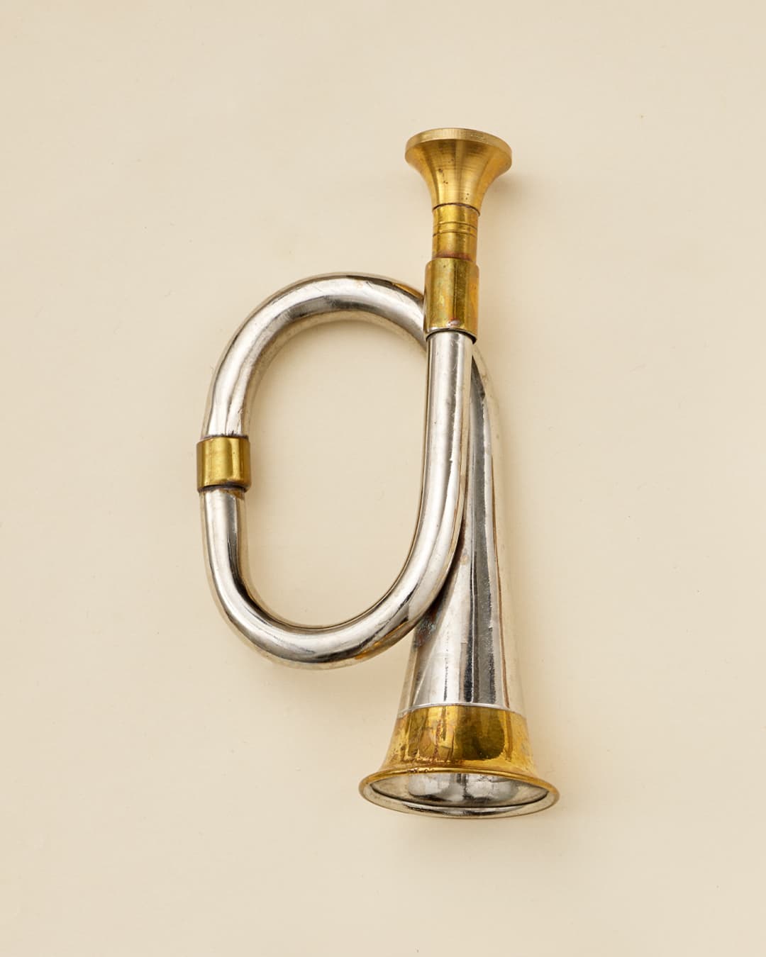 WHISPERS OF THE FOREST