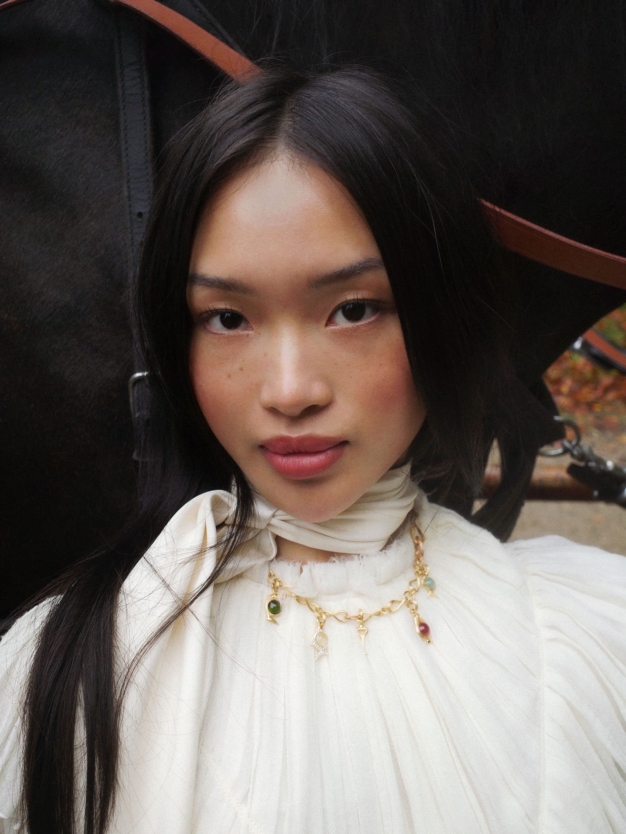 Birds family collection