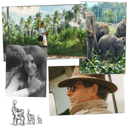 The iconic elephant
