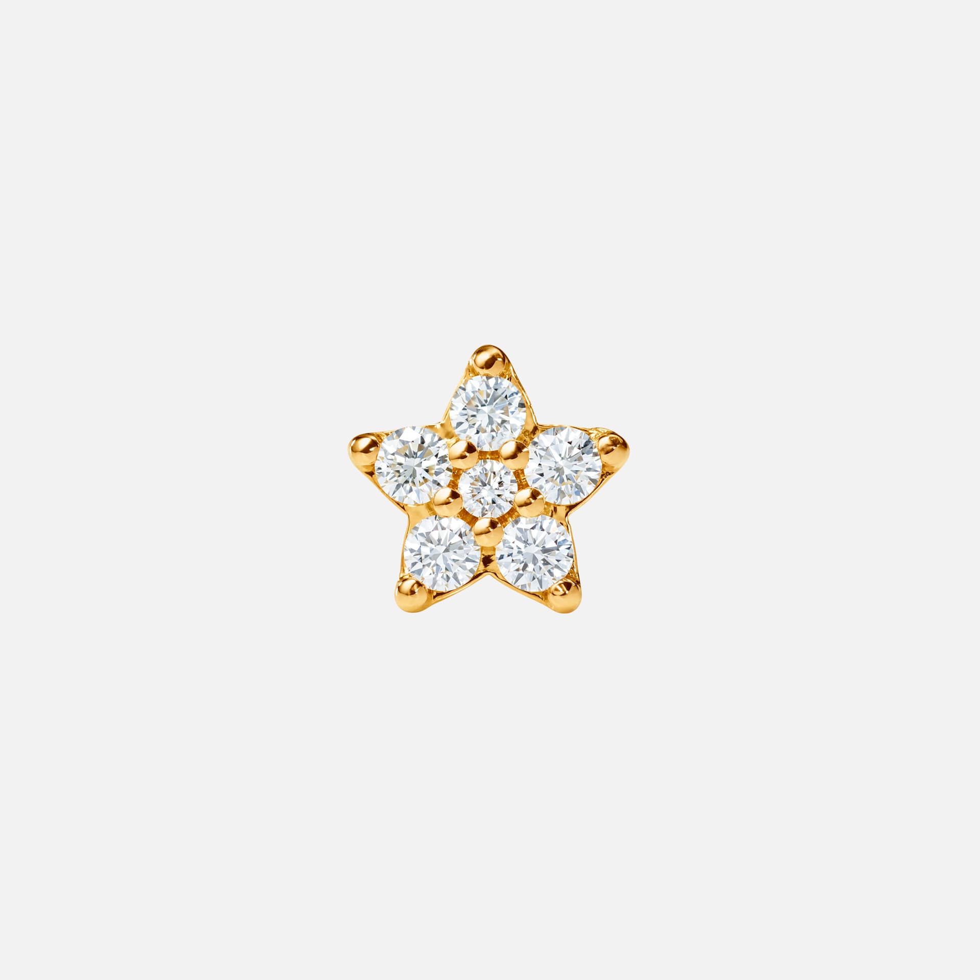Puce d'oreille Shooting Stars giga