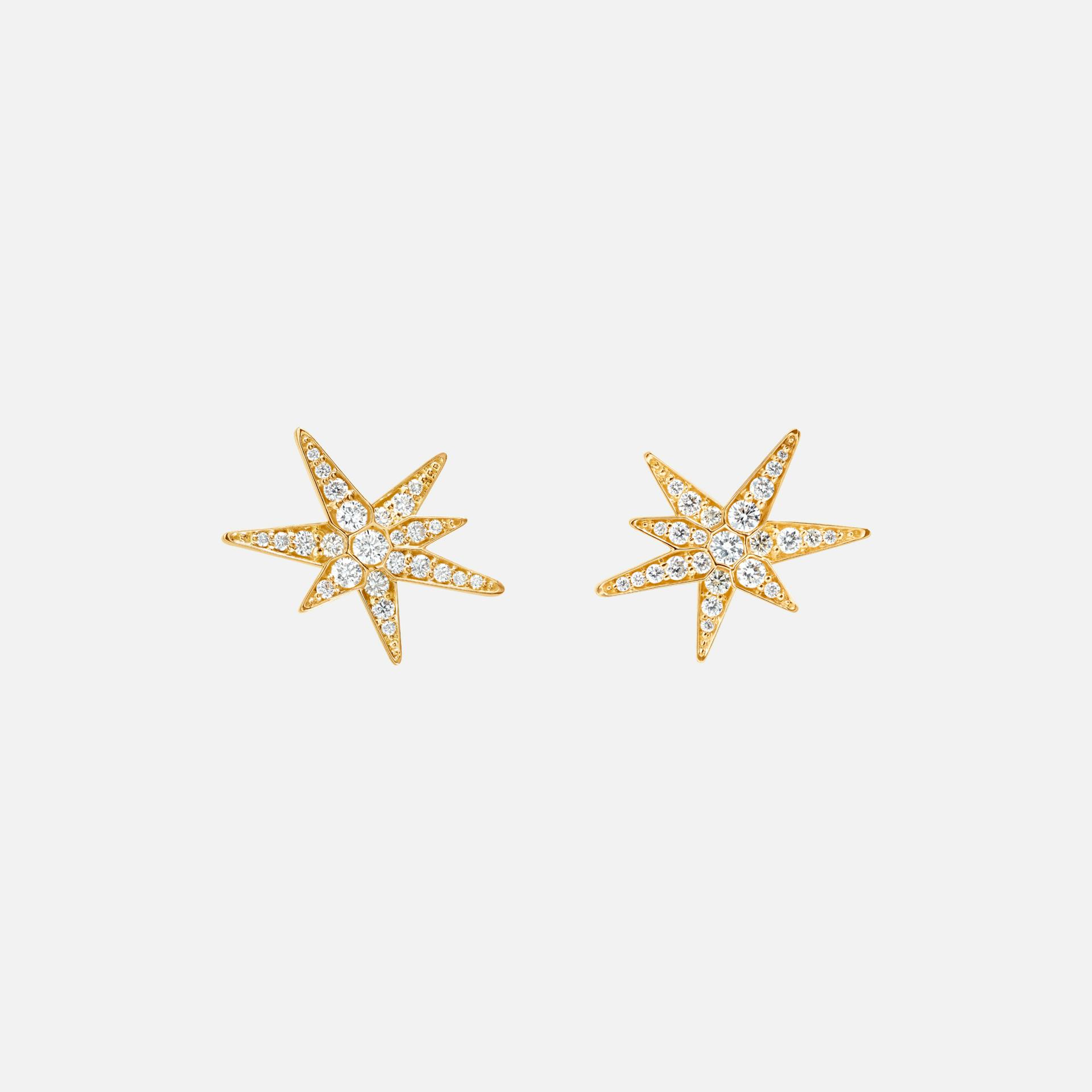 Funky Stars earrings small