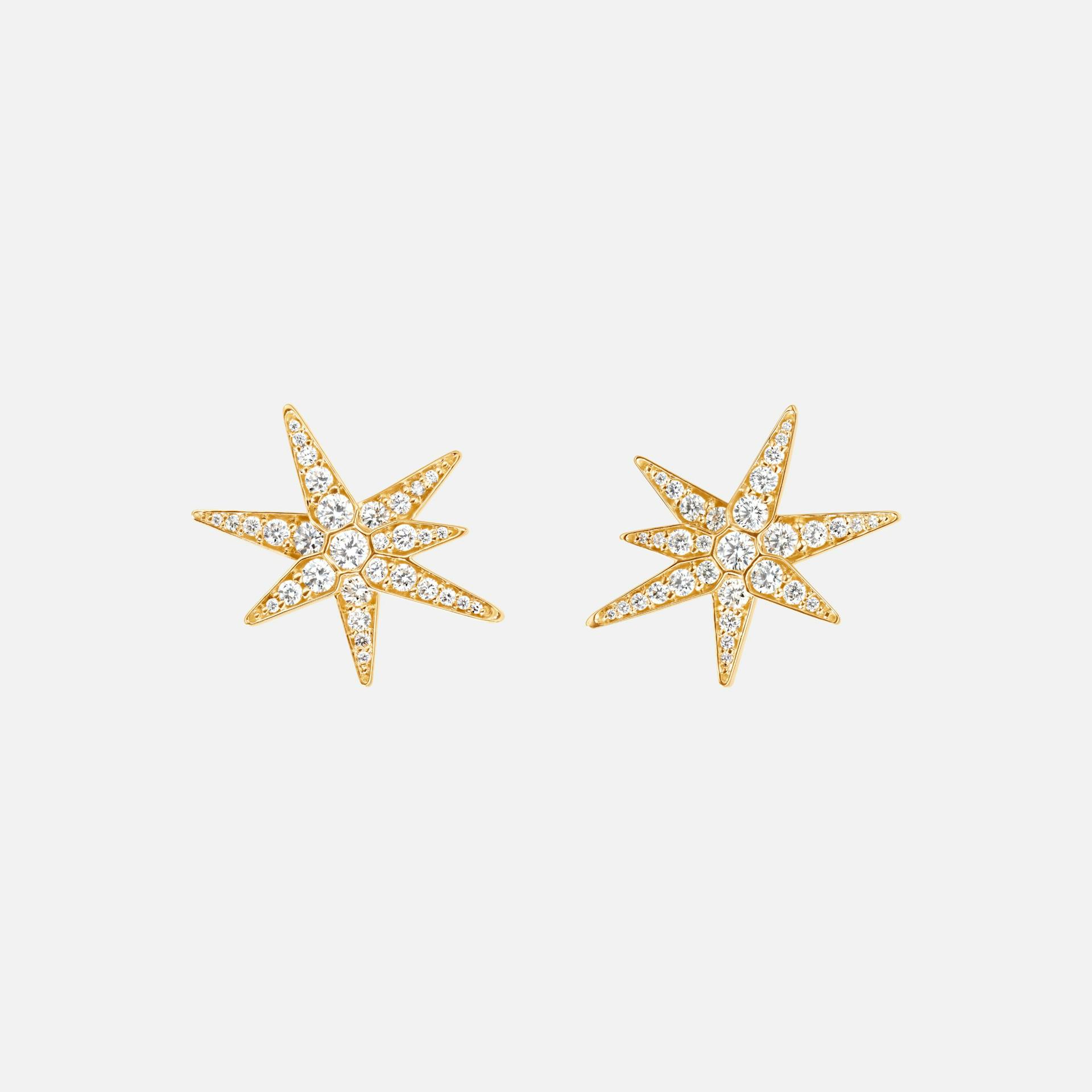Funky Stars Earrings medium
